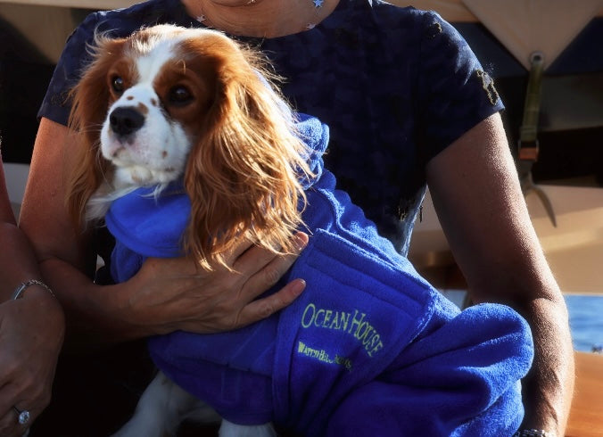 Ocean House Dog Robe by JHuhn
