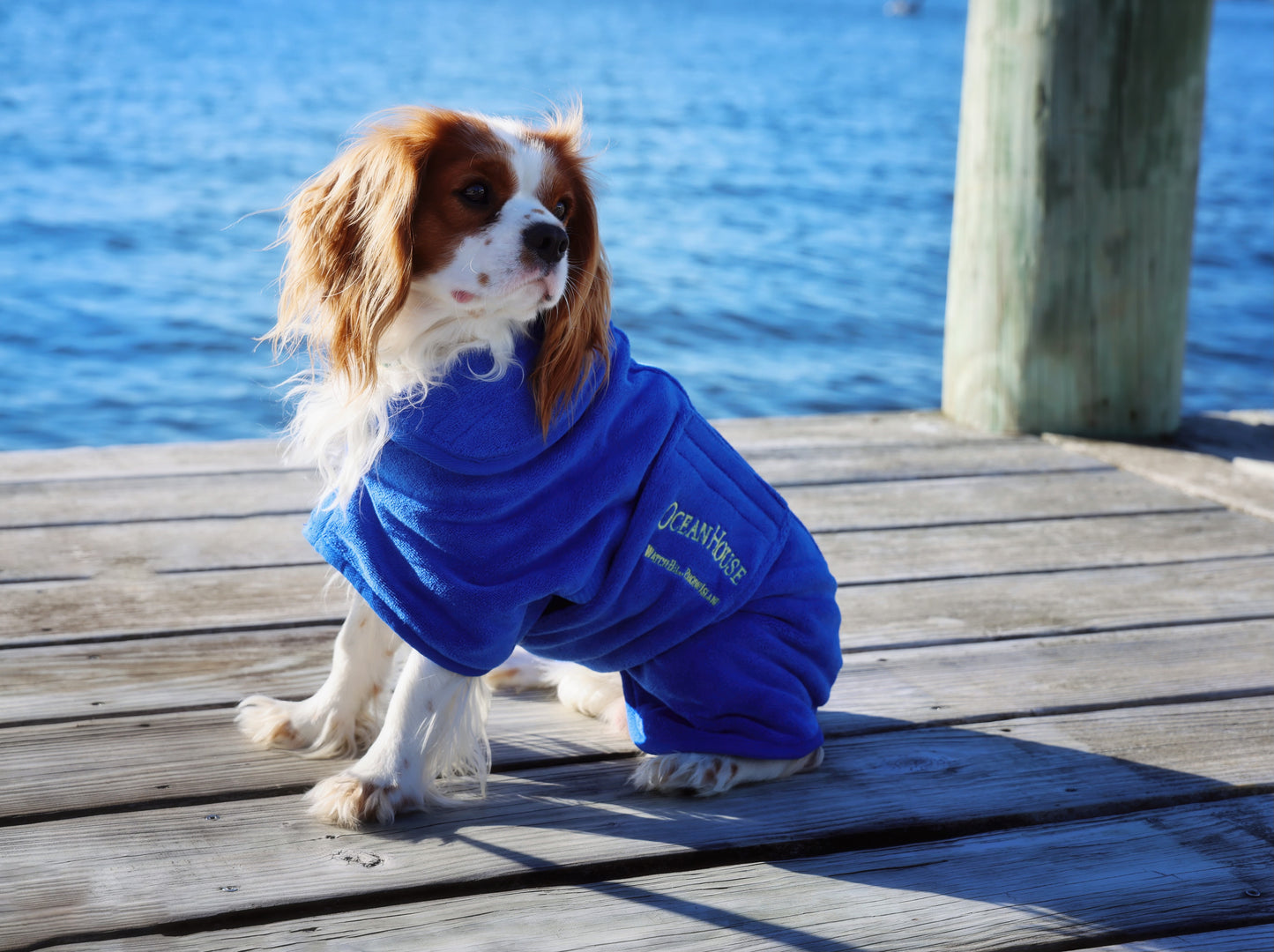 Ocean House Dog Robe by JHuhn
