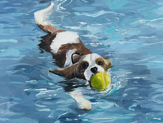 Summer Swim Aspen the Cavalier